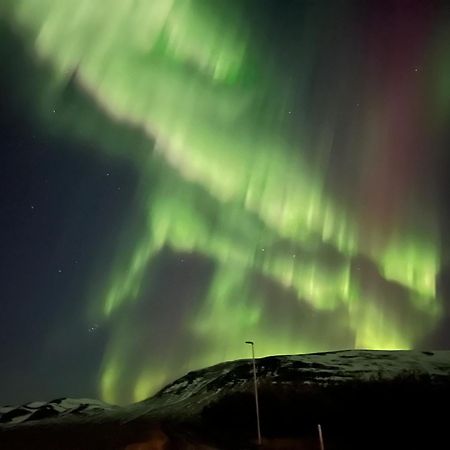 Stora-Asgeirsa Horse Farm Stay Vithigerthi Bagian luar foto