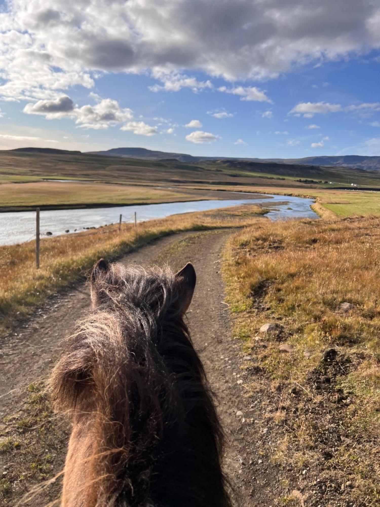 Stora-Asgeirsa Horse Farm Stay Vithigerthi Bagian luar foto