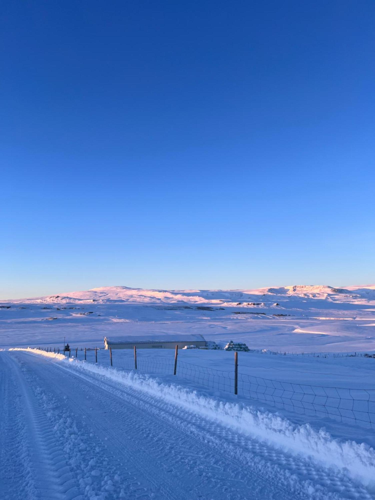 Stora-Asgeirsa Horse Farm Stay Vithigerthi Bagian luar foto