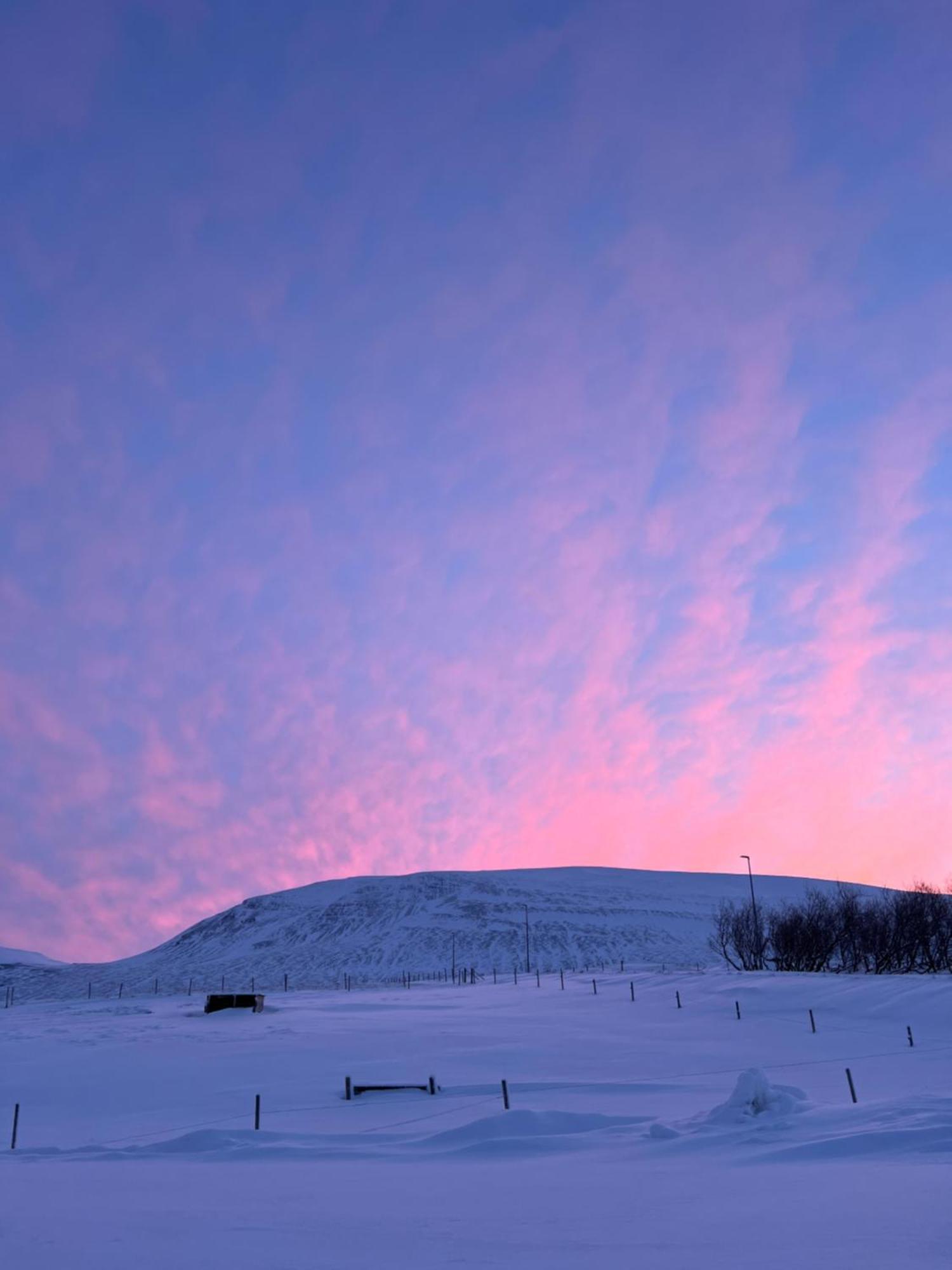 Stora-Asgeirsa Horse Farm Stay Vithigerthi Bagian luar foto