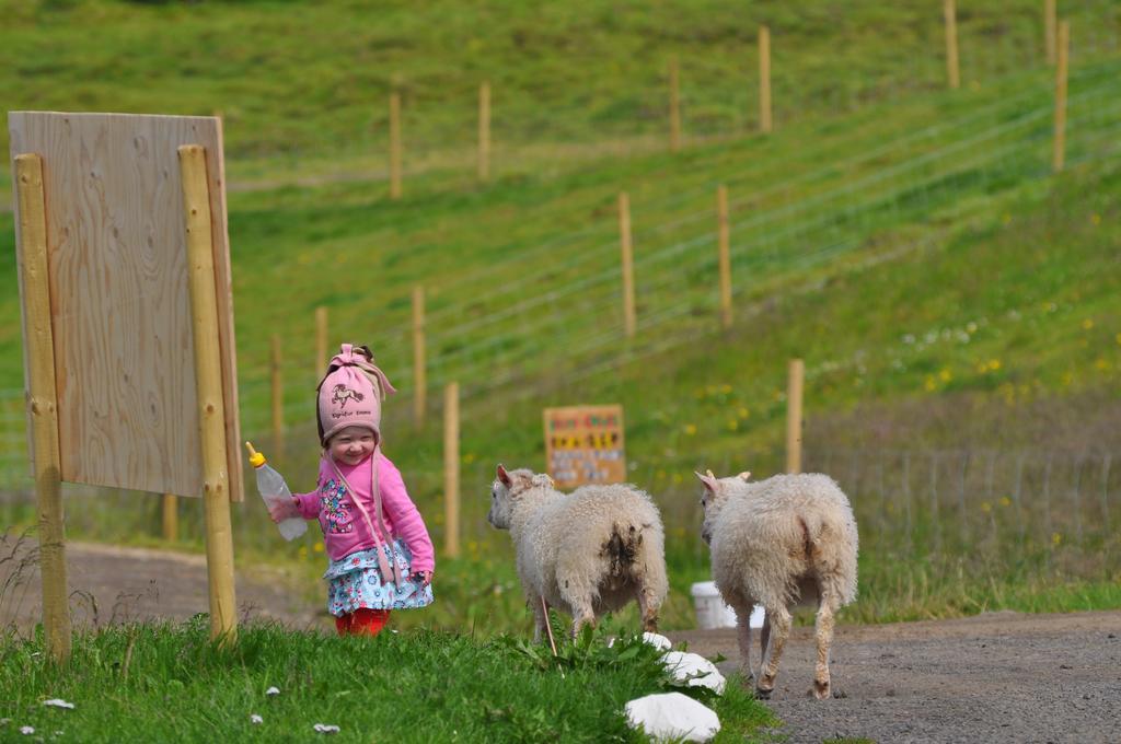 Stora-Asgeirsa Horse Farm Stay Vithigerthi Bagian luar foto