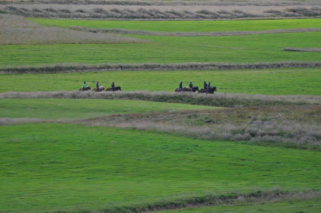 Stora-Asgeirsa Horse Farm Stay Vithigerthi Bagian luar foto