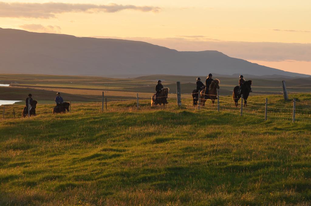 Stora-Asgeirsa Horse Farm Stay Vithigerthi Bagian luar foto